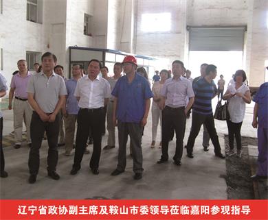 Vice chairman of Liaoning Provincial CPPCC and leaders of Anshan Municipal Party
